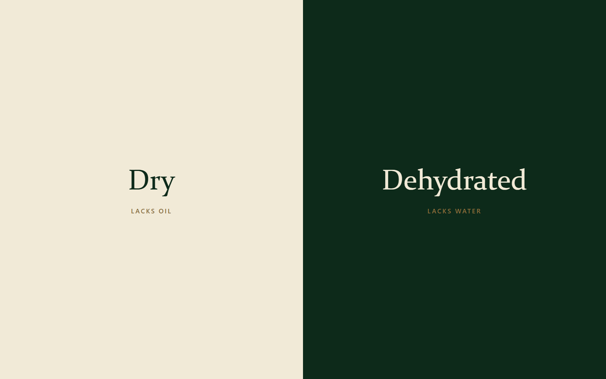 The words Dry and Dehydrated side by side, one lacking oil and one lacking water