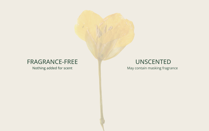 A pale pressed flower behind the words Fragrance-free and Unscented