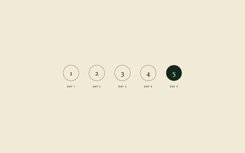 Five numbered circles marking the five days of a proper patch test