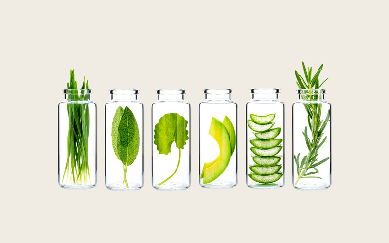Six glass vials, each holding a different botanical leaf or sprig
