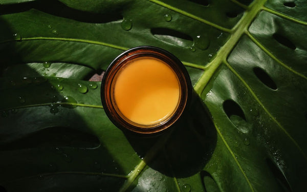 An open amber jar of Universal Balm seen from above, resting on wet monstera leaves