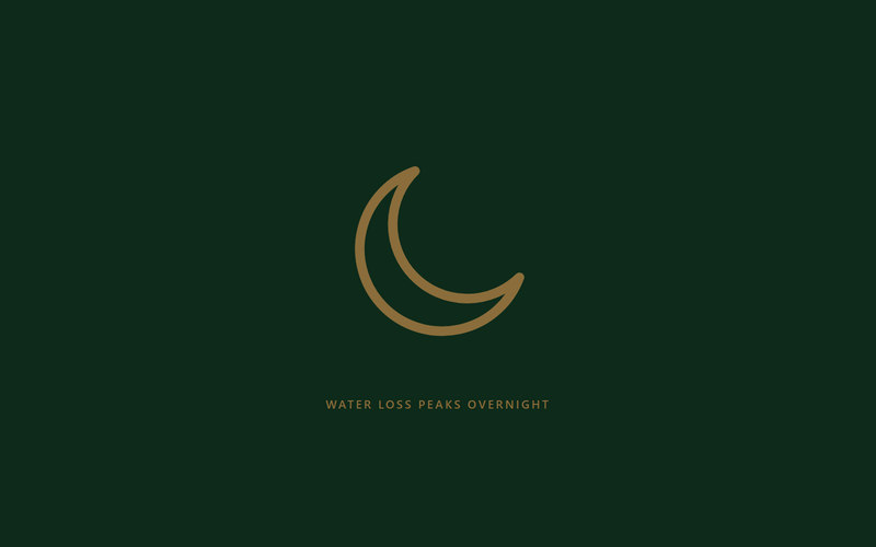 A crescent moon outline above the line: water loss peaks overnight
