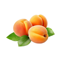 Apricot Kernel Oil